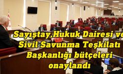 Sayıştay, Hukuk Dairesi ve Sivil Savunma Teşkilatı Başkanlığı bütçeleri onaylandı