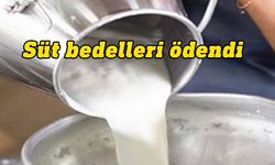 Küçükbaş ve büyükbaş çiğ süt bedelleri ödendi