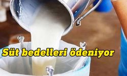 Süt bedelleri bugün ödeniyor