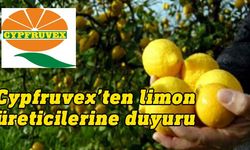 Cypfruvex: Üreticiler ellerindeki limon ürününü bir an önce kaydettirmeli