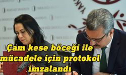 Orman Dairesi ile YDÜ Ziraat Fakültesi çam kese böceği ile mücadele için protokol imzaladı