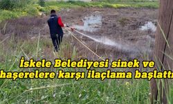 İskele Belediyesi sinek ve haşerelre karşı ilaçlama başlattı