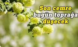 Üçüncü ve son cemre bugün toprağa düşecek