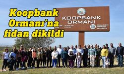 Ataoğlu ve Oğuz Koopbank çalışanları ile birlikte fidan dikti