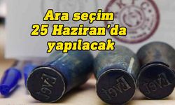 Meclis ara seçimin 25 Haziran’da yapılmasını oy birliğiyle onayladı