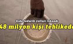 BM: Batı Afrika’da 48 milyon kişi açlık sınırında