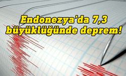 Endonezya'da 7.3'lük deprem sonrası tsunami uyarısı yapıldı