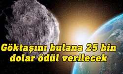 Düşen göktaşını bulana 25 bin dolar ödül verilecek