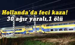 Hollanda'da yolcu treni yük treni ile çarpıştı