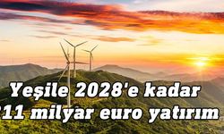 Oxford: Yeşil enerji 5 yılda AB’de Rus gazının yerini alabilir