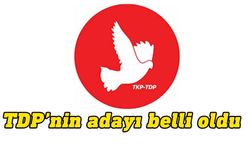 TDP'nin aday tanıtım etkinliği yarın merkez Lefkoşa'da yapılacak