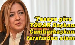 Varol: YÖDAK Başkanı Avcı'nın atanmasıyla ilgili şikayet konusu Ombudsman'ın yetkisi dışındadır