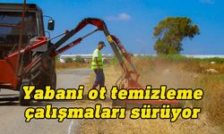 Gazimağusa Belediyesi yabani ot temizleme çalışmalarına devam ediyor