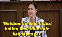 Bağımsız Milletvekili Rogers'tan hükümete eleştiri