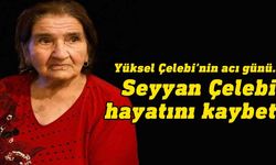 Dikmen Belediyesi Başkanı Çelebi'nin annesi Seyyan Çelebi hayatını kaybetti