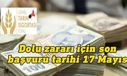 Dolu zararı müracaatı için son tarih 17 Mayıs