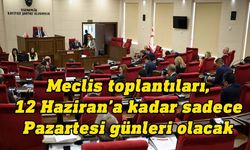 Meclis 15 Mayıs-12 Haziran arasında sadece pazartesileri toplanacak