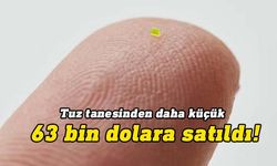 Tuz tanesinden daha küçük çanta 63 bin dolara satıldı