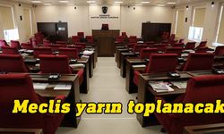 Meclis Genel Kurulu yarın Zorlu Töre başkanlığında toplanacak