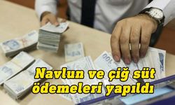 Maliye Bakanlığı navlun ve çiğ süt ödemelerinin yapıldığını açıkladı