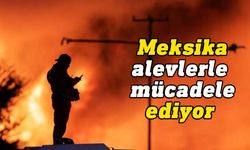 Meksika'da orman yangınları devam ediyor