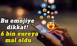 Bir emoji çiftçiye 56 bin euroya mal oldu!