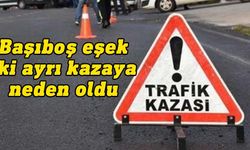 İki ayrı trafik kazasına sebep olan başıboş eşeğin sahibine yasal işlem