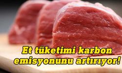 İngiltere'de yapılan araştırma et tüketiminin karbon emisyonunu artırdığını gösterdi