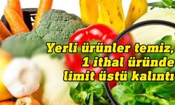 Tarım Dairesi ithal ve yerli üretim gıda denetim sonuçlarını açıkladı