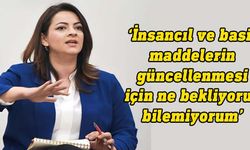 Atlı: Hükümet ve muhalefet vekilleri, bu sıcaklarda bir inşaatta 30 dakika çalışmalı