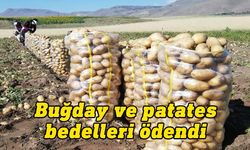 Toprak Ürünleri Kurumu buğday ve patates bedellerinin ödendiğini açıkladı