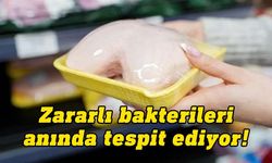 Tavuklarda anlık bakteri tespiti yapan kap üretildi