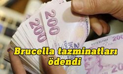 Brucella tazminatları hayvan üreticilerine ödendi