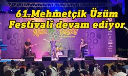 Mehmetçik Üzüm Festivali devam ediyor... Geleneksel Kıbrıs Gecesi düzenlenecek