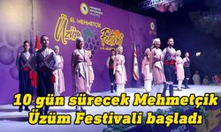 61. Mehmetçik Üzüm Festivali başladı