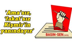 Basın-Sen: Kişmir’e açılan dava onurlu gazetecilere gözdağı verme amacını taşıyor