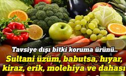 Tarım Dairesi, 17 üründe tavsiye dışı bitki koruma ürünü tespit etti