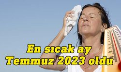 Temmuz 2023 “en sıcak ay” olarak kayıtlara geçti