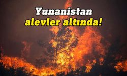 Yunanistan'da yangınlar 5'inci gününde de hız kesmeden devam ediyor