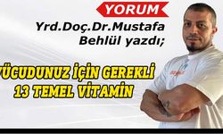 Mustafa Behlül yazdı: Vücudunuzun sağlıklı kalması için ihtiyaç duyduğu 13 temel vitamin