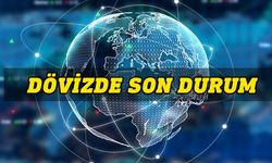 Güncel döviz kurları-8 Kasım 2023