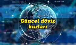 Günlük döviz kurları-16 Ocak 2024