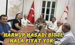 Halkın Partisi: Harnup üreticisi yalnızlığa terk edildi!