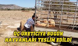 “Küçükbaş Hayvancılığın Yaygınlaştırılması Projesi” kapsamında 3 üreticiye hayvanları teslim edildi