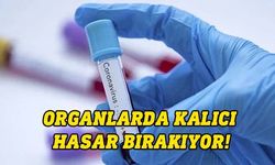 Yeni corona virüs araştırması: Organlarda kalıcı hasar bırakıyor