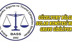 Güzelyurt Kaymakamlığı Bölge Sular Komitesi çalışanları greve gidiyor