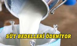 541 üretici için 131 milyon 245 bin 218 TL bugün ödeniyor