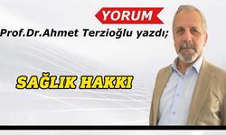 Prof.Dr.Ahmet Terzioğlu yazdı: Sağlık hakkı