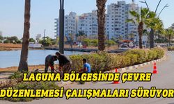 Gazimağusa Laguna bölgesinde budama ve çevre düzenlemesi yapılıyor