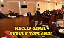 Cumhuriyet Meclisi Genel Kurulu denetim işleviyle toplandı